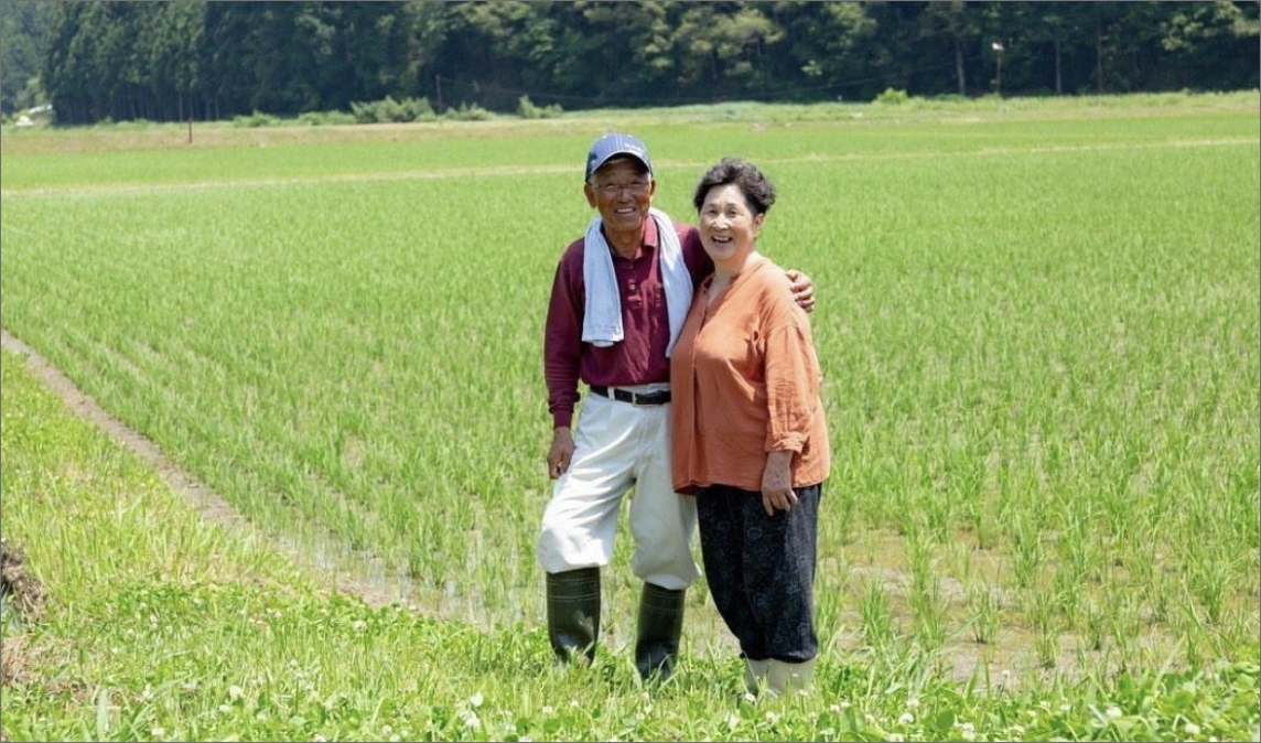 清流米